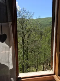 Maison dans les bois Osiglia, Ligurie - Image 3