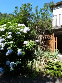In the heart of the Cévennes: cool house! - Image 2