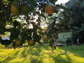 will be from Rio Grande do Sul - Image 5