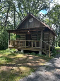Tadpole Cabin at Creek Road Farm - Image 3