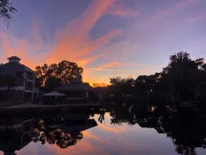 Homosassa Haven - Image 3