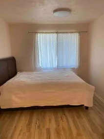 Park Street Apartment - Image 2