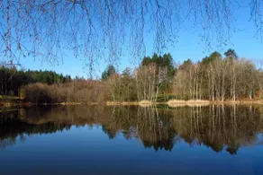 Gîte Dordogne / Limousin. Peut accueillir jusqu'à 4 personnes. Situé dans une belle campagne. - Image 5