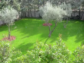 Large Provencal villa between scrubland and sea - Image 2