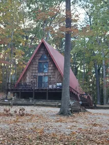2 acres, 2 king beds, firepit & plenty of parking - Image 5