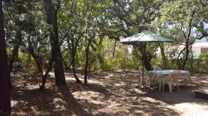 Small charming cottage with all amenities. - Image 4