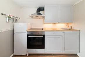 Private studio apartment in Gaupne - near Luster - Image 5