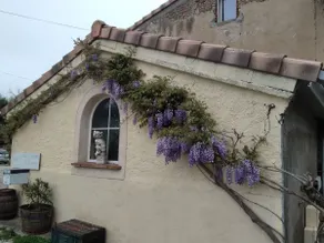La Maison d'Engiraud - Image 3