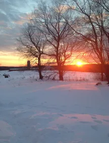 Farmhouse, 2 Acres, beautiful views, private! - Image 5