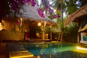 Villa Ilalang, private pool @ Meno Island Villas - Image 4