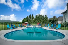 Amazing Guitar Pool 11200sf Private Oasis hot tub - Image 3