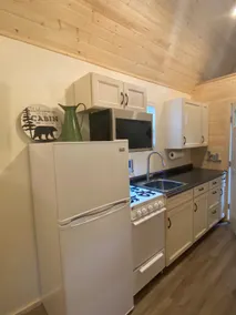 The Denali Cabin - Gorgeous lofted cabin - Image 4