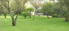 Quinta da Saudade Houses - Image 3
