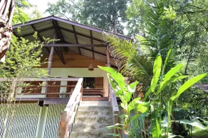 Fibre Internet - Cosy House - Forest, Temple, Café - Image 4