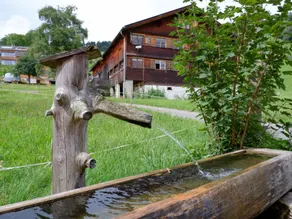 Ferienwohnung Brittenberg Alpaka - Image 3
