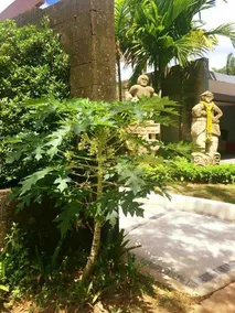 Tranquil lake view villa on Phuket golf estate - Image 5