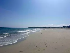 Ocean Views. Walk to White Horse🏖 - Image 4