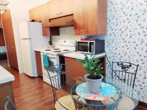 ★ Mid Century Modern!★7 miles to Canal Park★ - Image 2