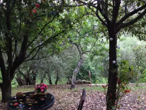 Chalet al Ponte - Image 4