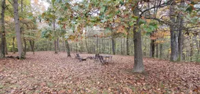 VALLEY VIEW LODGE, eine moderne Kabine in WEST KY - Image 4