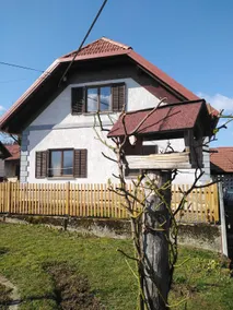 House of Culture and Nature - Hiša Kulture in Nature - Image 4