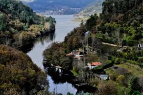 Douro Studio - Image 2