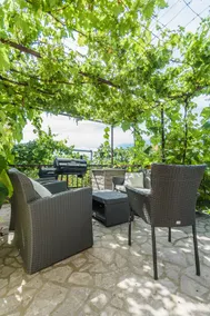 Green oasis near the sea - Image 3