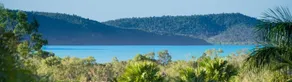 Tropical Paradise - Image 2