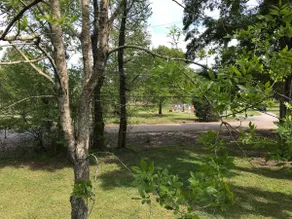 La Maison du Bayou - - Image 3