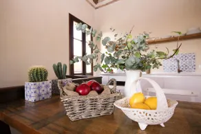 Apartment in a cosy house near Padua and Venice - Image 5