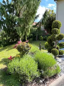 Lovely little guest house - Image 2