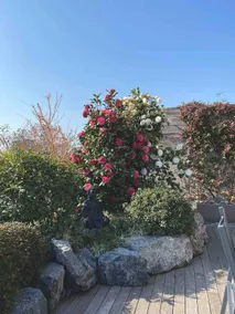 PEEKABOO HOUSE - Amazing terrace in Navigli area - Image 2