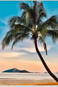 Welcome to HOME@Mission Beach. - Image 2