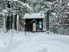 Adorable Dog Friendly Guest House - Image 2