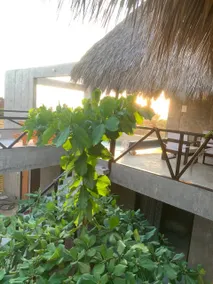 El Puertecito - Image 2