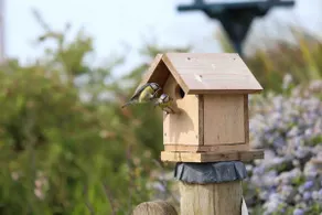 West Winds Holiday Home. Sea Views Free Wi-Fi - Image 3