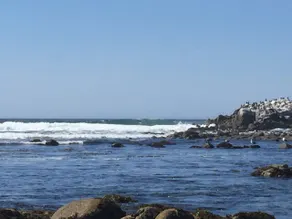 Mermaid's Delight - Image 2