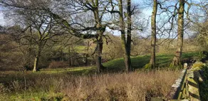 The Old Dairy - Image 3