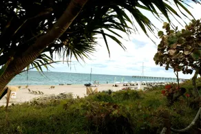 Luxurious Apartment close to the Beach & Downtown - Image 5