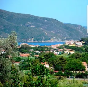 I Limoni - Image 3