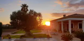 Large pine forest villa with pool - Image 2
