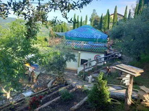 Country house, yurt pool, hot tub - Image 3