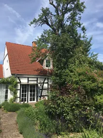 Brigitte's country house - Image 4
