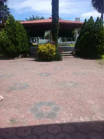 Finca Cáceres - Image 5