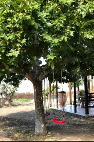 Gerania Villa - Image 5