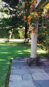 Bella Residencia - Spa - Image 3