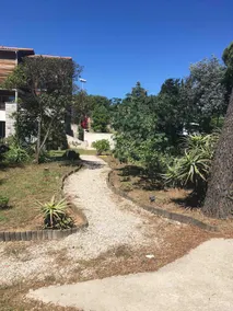 A garden by the sea - Image 3