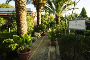 zambrone Tropea - new apartment - private beach - Image 4