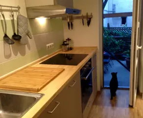 Newly renovated, cozy 2-room apartment in Neckarau - Image 4