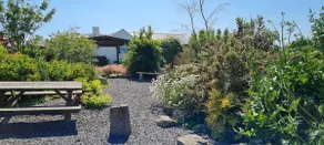 Romantic rural cottage, log burner, Smart TV early check in ,large gardens - Image 5
